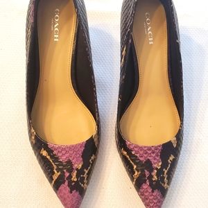 Kitten heel Coach Pumps